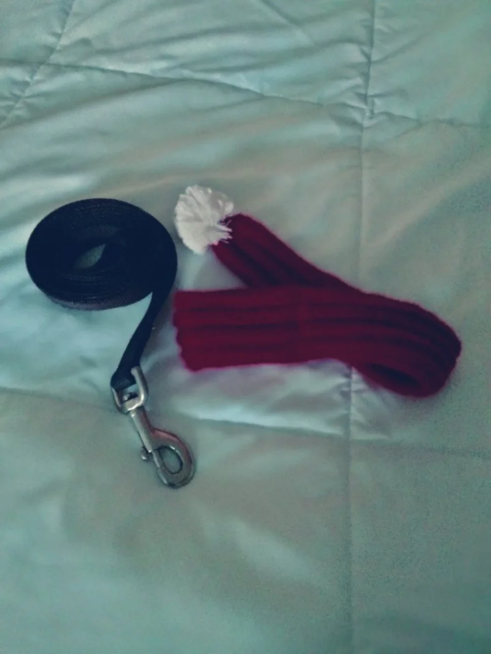 Dog leash & Winter scarf - leash is 6' long with heavy clasp & scarf is 15